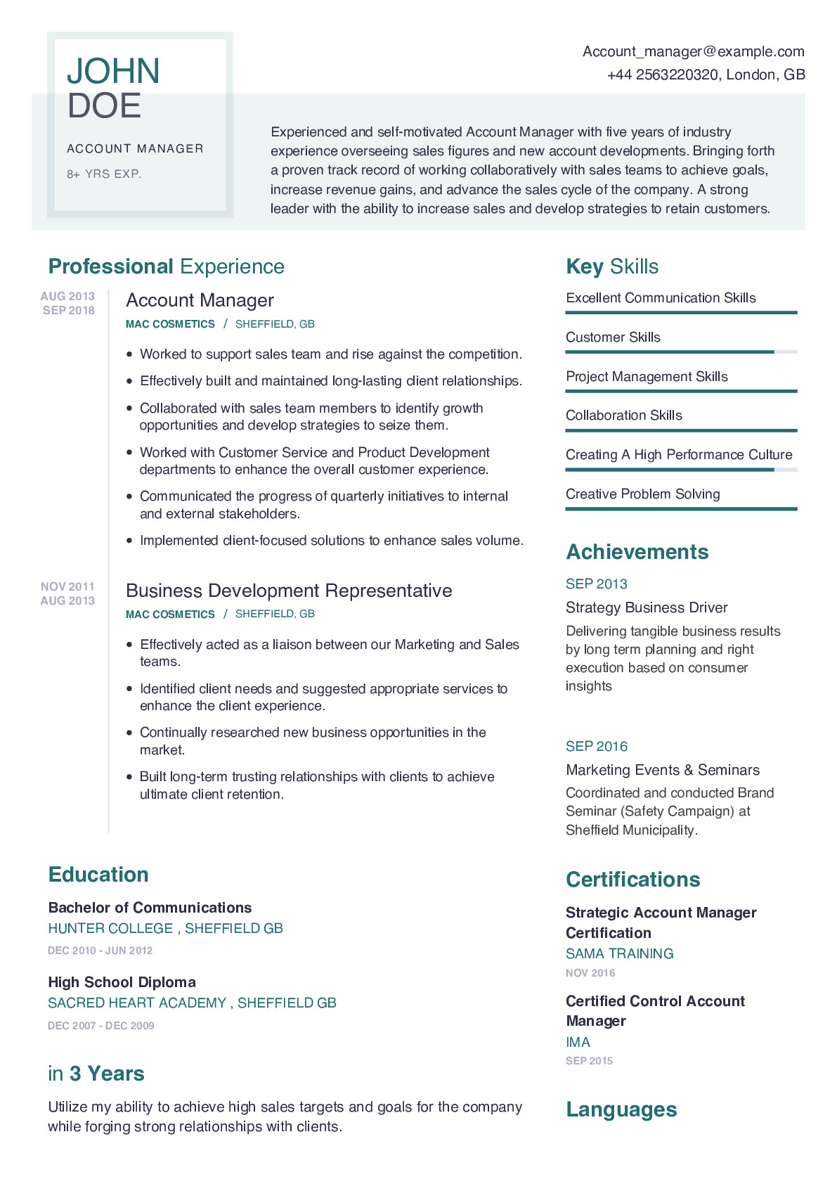 Account Manager Resume Example 