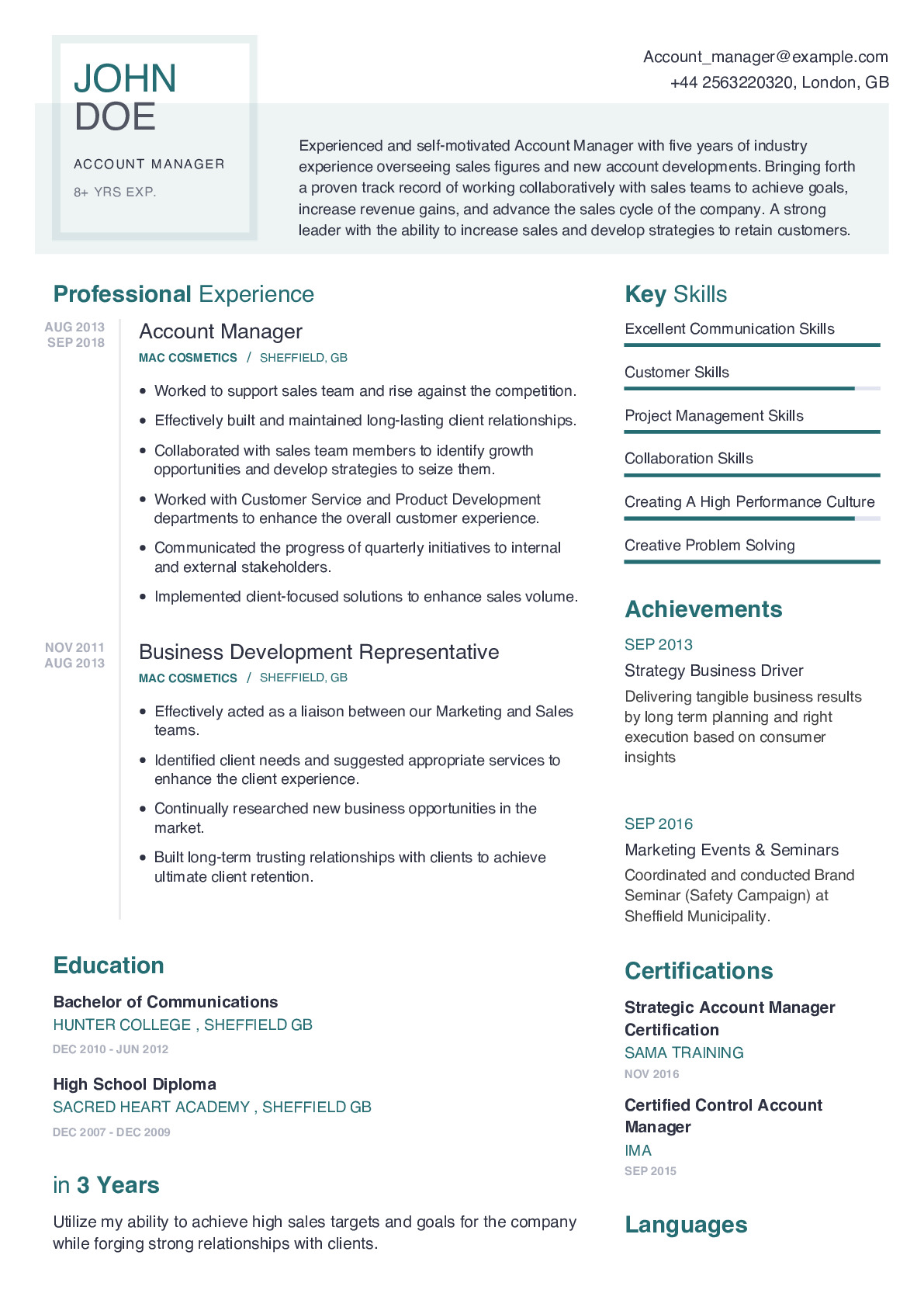 Resume Summary For Account Manager