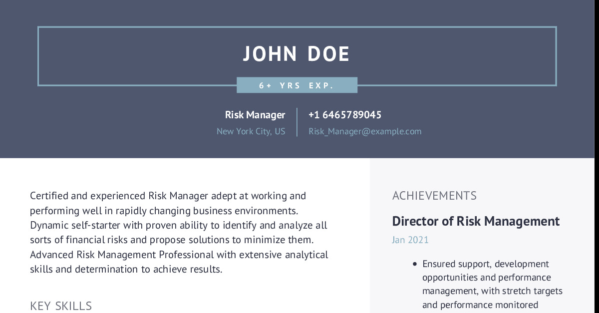 risk manager job description pdf