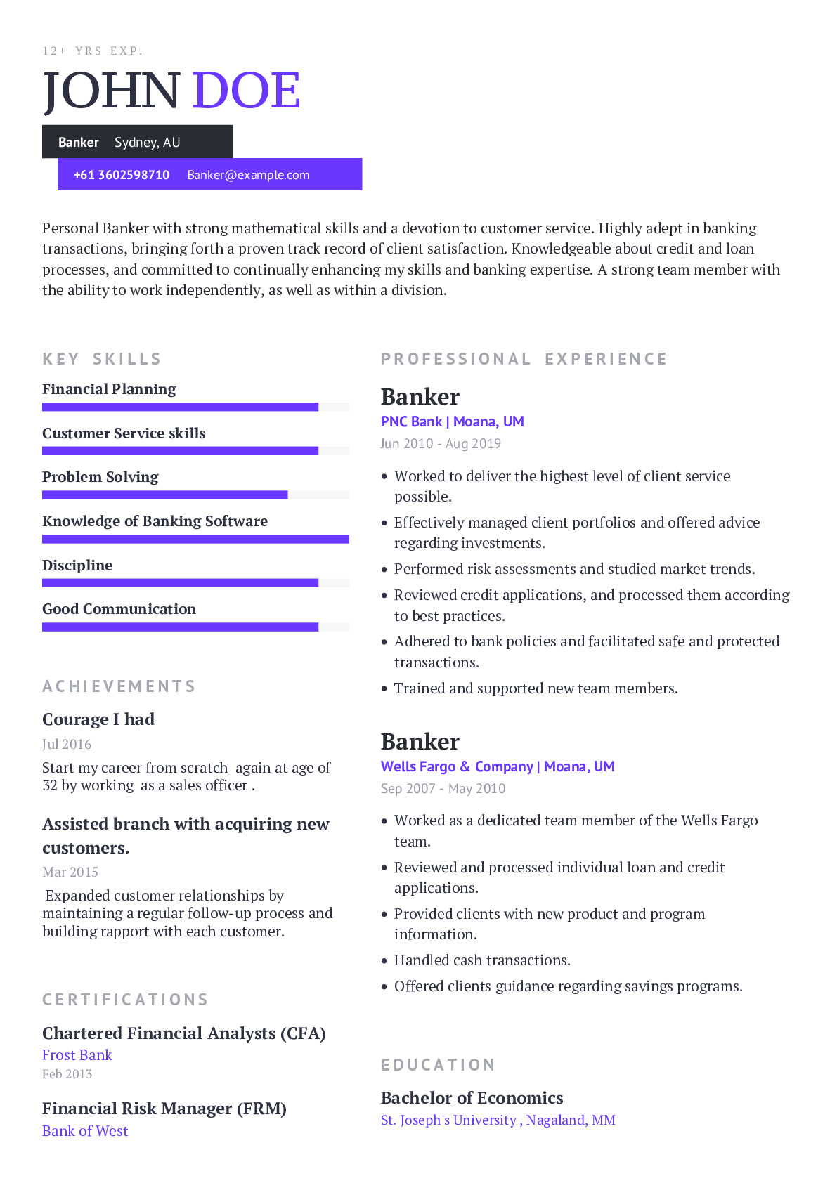 sample resume for professional banker